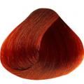 Világos Mahagóni Vörös hajfesték csomag - Nirvel 8.55